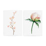 Roses floral temporary tattoos TATTonme Rose spring set