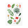 Tropic mix